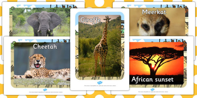 Safari Animal Display Photo Cut-Outs - jungle, animals, display