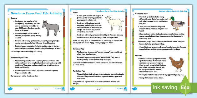 FREE! - Newbarn Farm Fact File Activity (Teacher-Made)