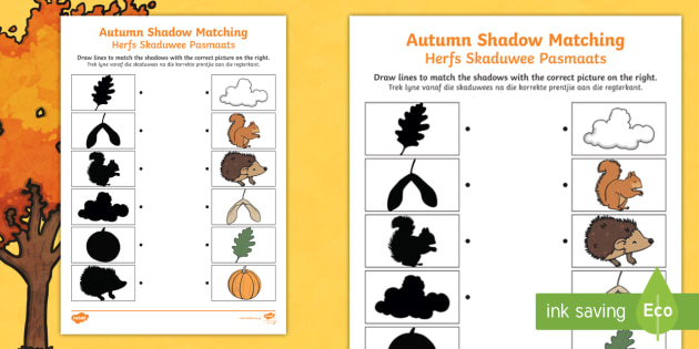 autumn shadow matching worksheet english afrikaans