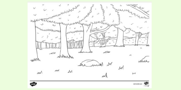 FREE! - Tree Line Colouring Sheet (teacher made)