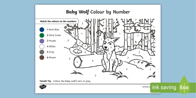 FREE! - Baby Wolf Colour by Number (teacher made)