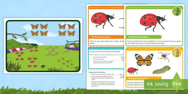 EYFS Maths Counting Chilli Challenges: Minibeast Estimation