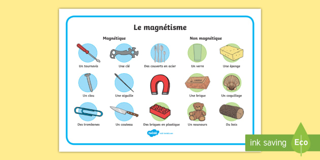 Set De Mots Le Magnetisme Teacher Made