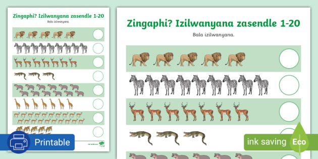 Zingaphi? Izilwanyana zaseNdle - Counting Wild Animals 1-20 isiXhosa*