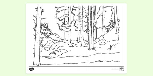 Forest Background Colouring Sheet | Colouring Sheets