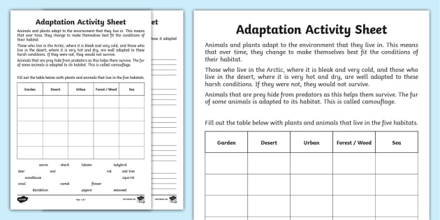 Adaptation Worksheet Research Activity teacher Made 