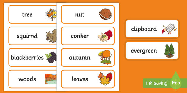 A Sense of Autumn Word Cards (teacher made)