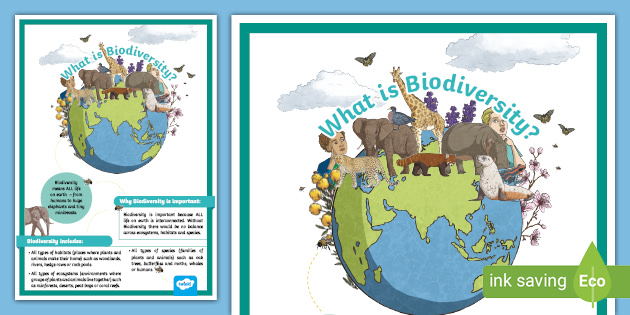biodiversity posters kids
