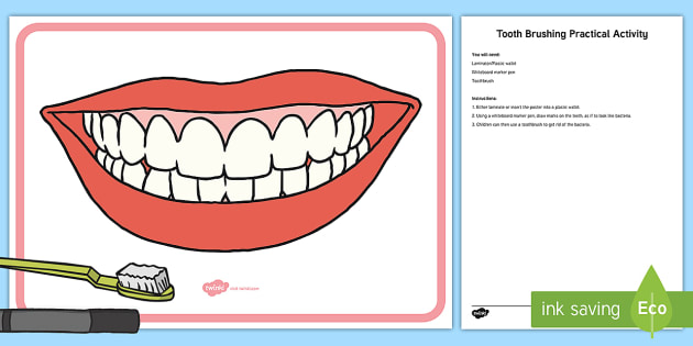 Teeth Brushing Practical Activity (teacher made)