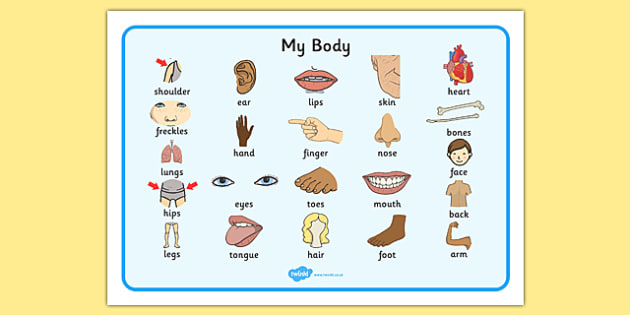 Our body. Body Parts Wordwall. Креативные карточки по теме my body с названиями. Starlight 2 Words body Parts. My body text.