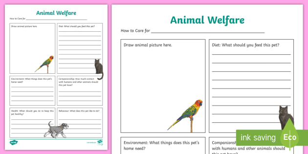 Animal Welfare Information Poster Worksheet (teacher made)