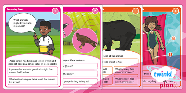 Science: Animals Including Humans Year 1 Reasoning Cards