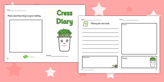 Growing Cress Diary Writing Frame - growing cress, diary