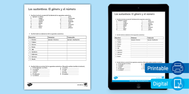 spanish-nouns-gender-and-number-activity-teacher-made