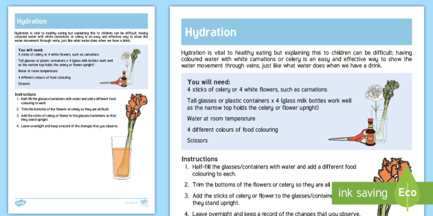 Hydration Science Investigation (teacher made)
