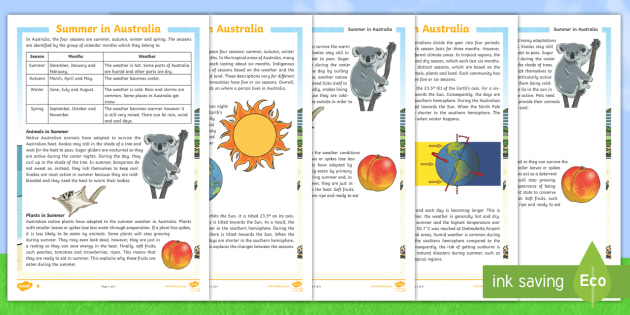 3 6 summer in australia differentiated reading comprehension activity