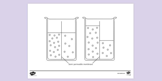 Osmosis Colouring Sheet