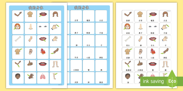 我的身体 图片词汇匹配练习