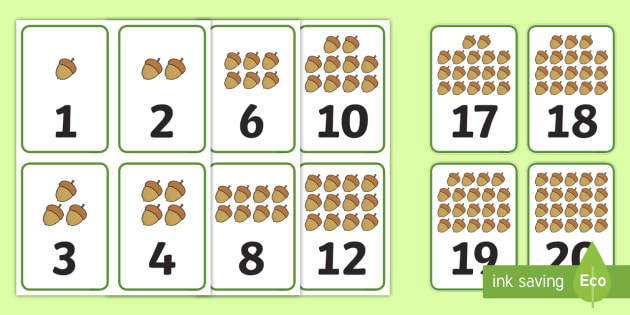 Number of Nuts to 20 Number Cards (teacher made)