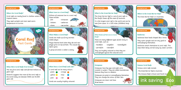 Coral Reef Fact Cards (teacher made)