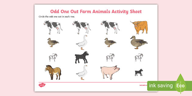 odd one out farm animals worksheet teacher made