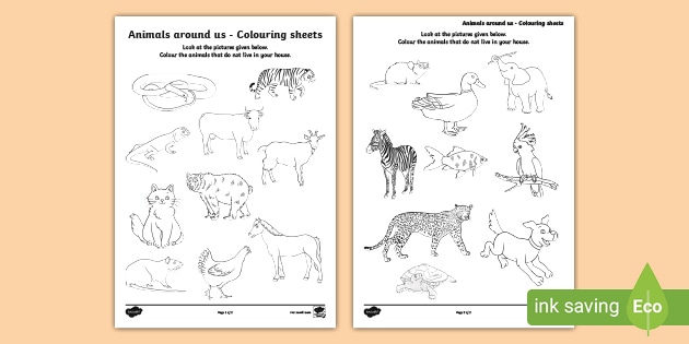 Animals around us (India) - Colouring sheets (teacher made)