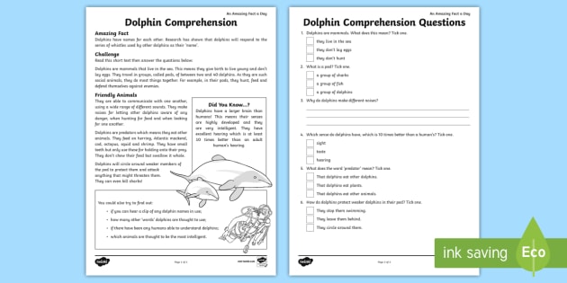 Dolphin Comprehension Worksheet Worksheet