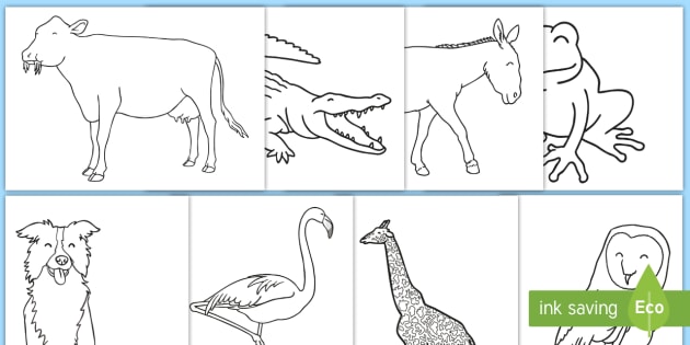 Animal Pictures to Colour in for Kids | KS1 Colouring Sheets