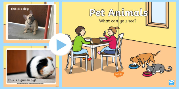 Pet Animals What Can You See? PowerPoint (teacher made)
