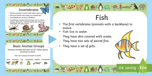 Animal Classification Quiz PowerPoint - Primary Resources