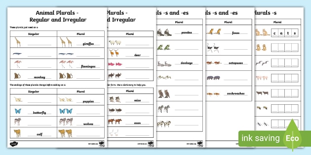 Animal Plurals Differentiated Worksheets (teacher made)