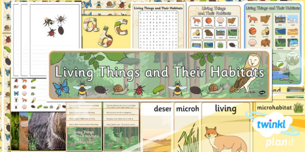 Science: Living Things and Their Habitats Year 2 Unit 