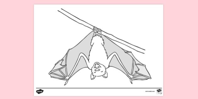 Colouring | Colouring Sheets (teacher made)
