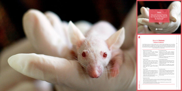 Animal Testing in the Medicinal Industry | Debate | Beyond