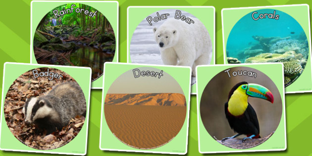Animal Habitat Display Photo Cut-Outs - EYLF - Topics