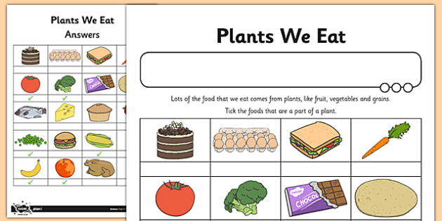 Eat plants. Eat plants. Eat plants. Eat plants. веган иконка.