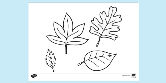 autumn leaves coloring page