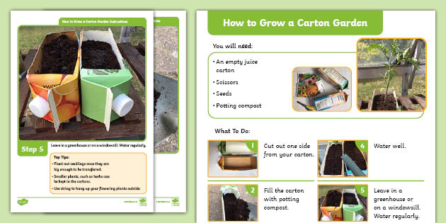 Grow Your Own Carton Garden (teacher made)