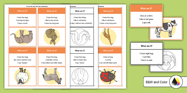 What Am I Animal Guessing Game for ELL Twinkl USA