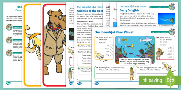 Ks1 Our Beautiful Blue Planet Focused Reading Skills Comprehension Pack