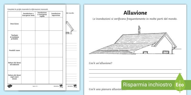 FREE! - Schede con esercizi sulle inondazioni (Teacher-Made)