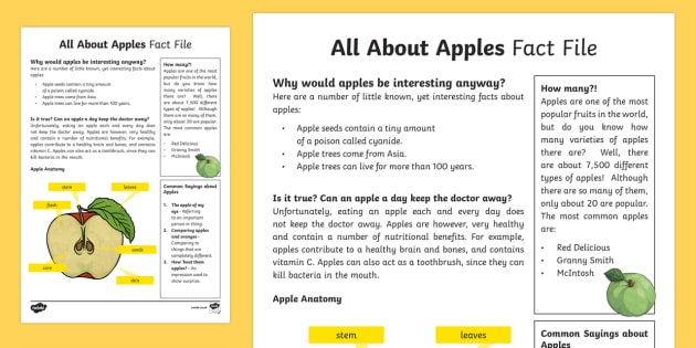 All About Apples Fact File Teacher Made