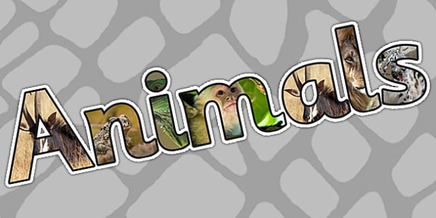 Animals Title Photo Display Lettering (teacher made)