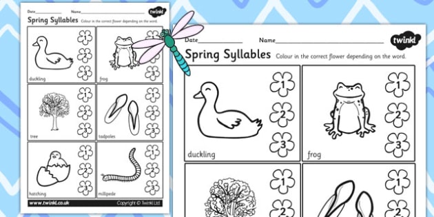 spring syllables worksheets 3 teacher made