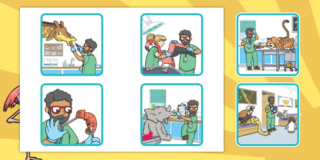 The Zoo Vet Story Sequencing Cards (Teacher-Made) - Twinkl
