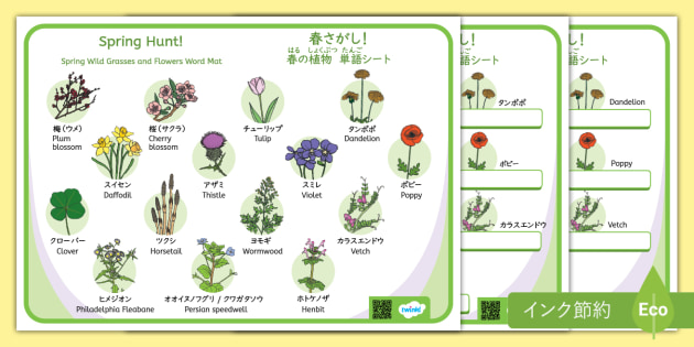 日本の春に自生する植物15種類を紹介している単語シート日本語