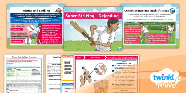 Cricket Meaning In French