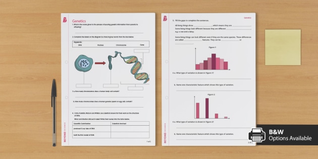 Genetics 101 Worksheet