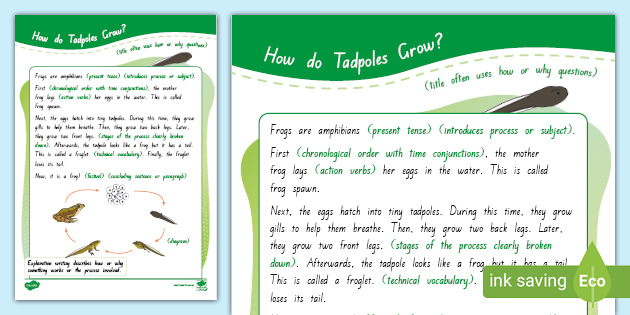Explanation Writing: Exemplar Text (Level 1) (teacher made)