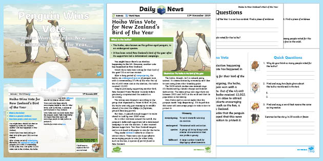 Uks2 Hoiho Wins Nz Bird Of The Year Vote Daily News Resource Pack